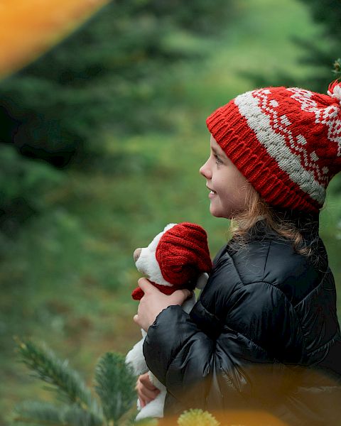 A child in a festive hat holds a toy, surrounded by evergreen trees.