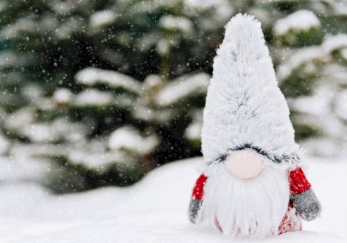 A small gnome with a tall, snowy hat stands in the snow with a blurred, snowy evergreen background.