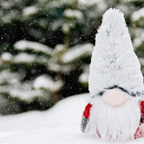 A small gnome with a tall, snowy hat stands in the snow with a blurred, snowy evergreen background.