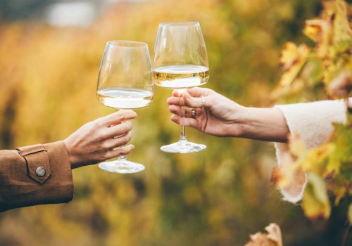 Two people clinking wine glasses outdoors, with autumn leaves in the background, celebrating a toast.