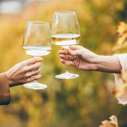 Two people clinking wine glasses outdoors, with autumn leaves in the background, celebrating a toast.