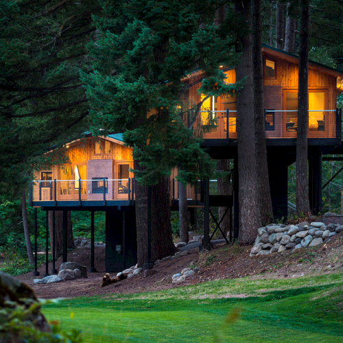 A cozy treehouse with glowing lights nestled among tall trees, surrounded by greenery and a stone-covered slope.