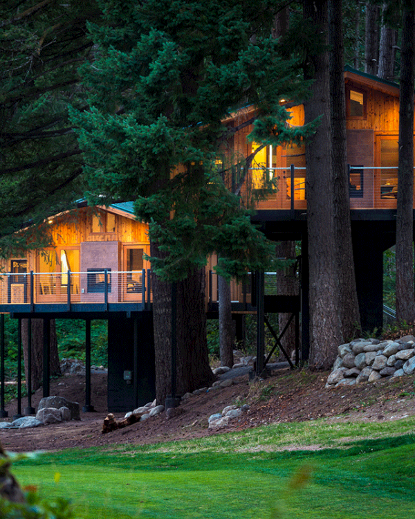 A cozy treehouse with glowing lights nestled among tall trees, surrounded by greenery and a stone-covered slope.