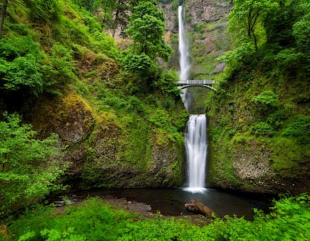 A lush green canyon with a tall waterfall cascading into a pool, a stone bridge arcing over the cliff, surrounded by dense forest.