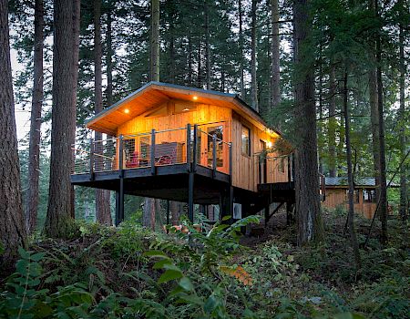 A wooden treehouse cabin perched on stilts among tall pines, glowing warmly with lights on a porch, nestled in a lush forest.