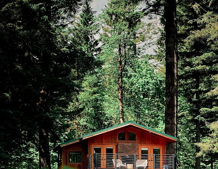 A small wooden cabin perched on stilts among tall evergreen trees in a lush forest, cozy and secluded in nature.