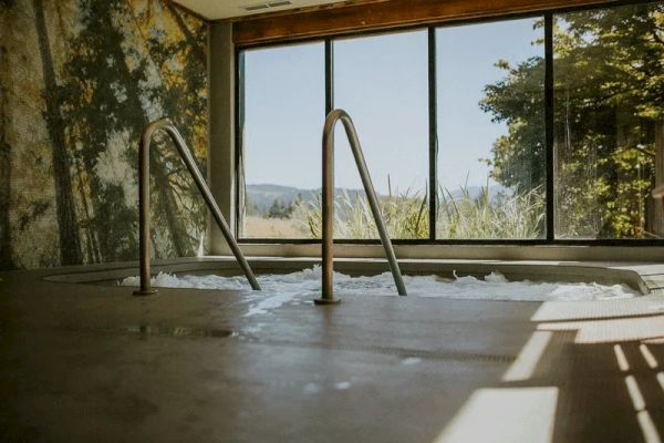 The image shows a hot tub with metal handrails, large windows, and a view of trees and mountains in the background.