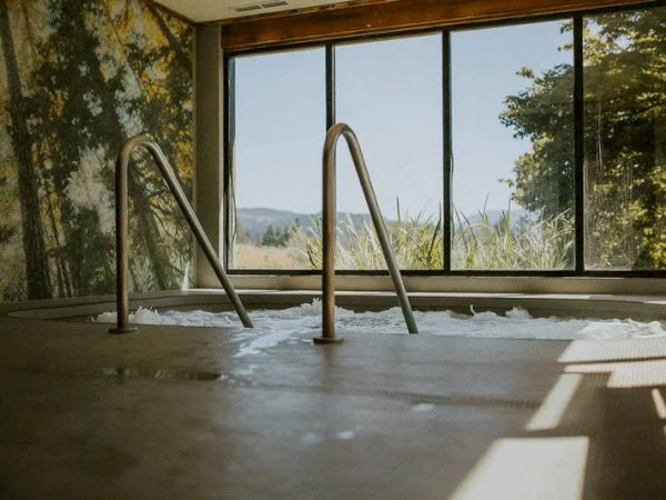 The image shows a hot tub with metal handrails, large windows, and a view of trees and mountains in the background.