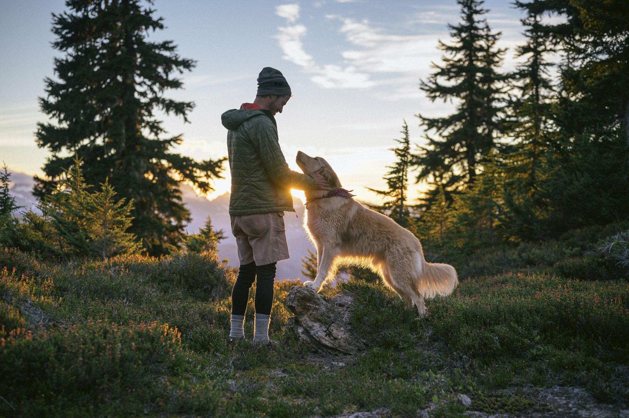 A person and a dog share a moment in a scenic outdoor setting with trees and a beautiful sunset in the background.