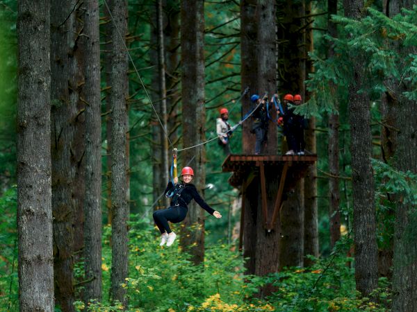 People in helmets zipline through a forest canopy, with ropes and platforms between tall trees.