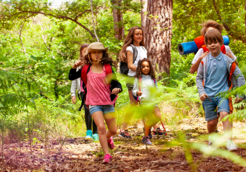 A group of children hikes through a lush green forest with backpacks and water bottles, enjoying an outdoor adventure.