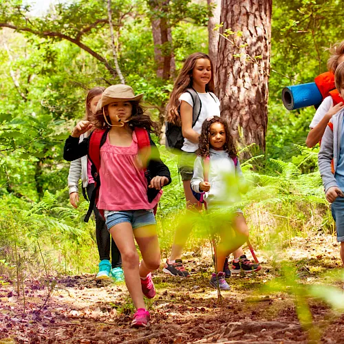 A group of children hikes through a lush green forest with backpacks and water bottles, enjoying an outdoor adventure.