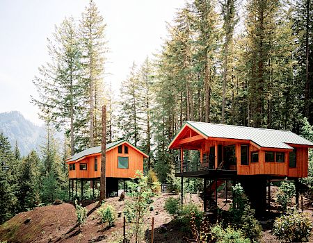 Wooden treehouse-style cabins on stilts sit in a lush forest with tall pines and distant hills under a bright sky.