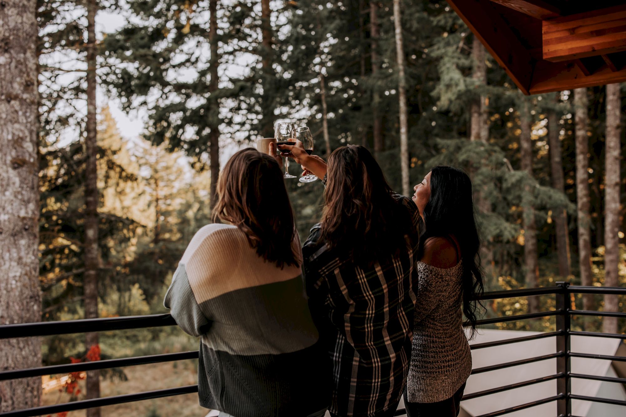 Friends clink wine glasses on a cabin deck, toasting in the forest.