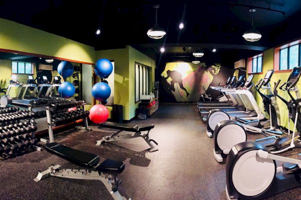 The image shows a gym with treadmills, stationary bikes, weights, exercise balls, and mirrors on the walls.