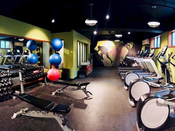 The image shows a gym with treadmills, stationary bikes, weights, exercise balls, and mirrors on the walls.