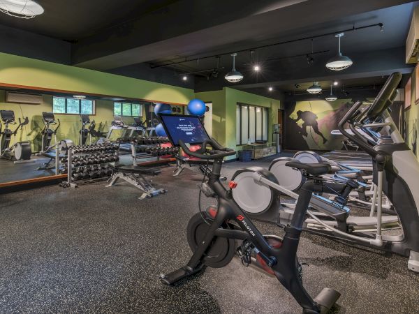 A gym with various equipment, including exercise bikes, treadmills, and weights, is seen in a well-lit space with green walls.