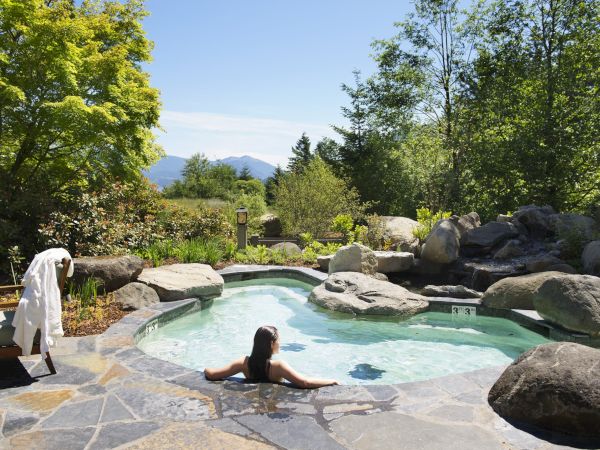 A person relaxes in a small stone-bordered pool surrounded by nature, trees, and distant mountains on a sunny day.