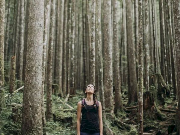 A person stands in a dense forest, looking up at the tall trees surrounding them.