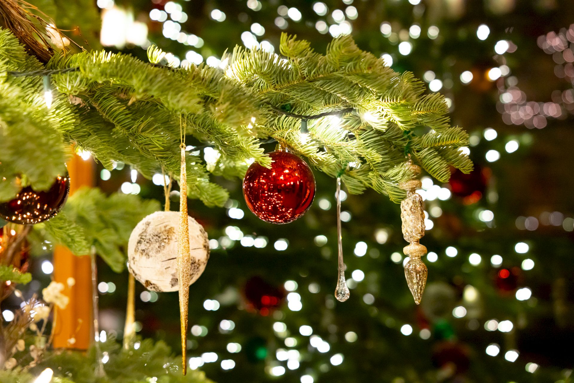 Shiny Christmas tree ornaments&mdash;red bauble and gold icicle charms&mdash;hang on green fir branches, glowing with festive bokeh lights.