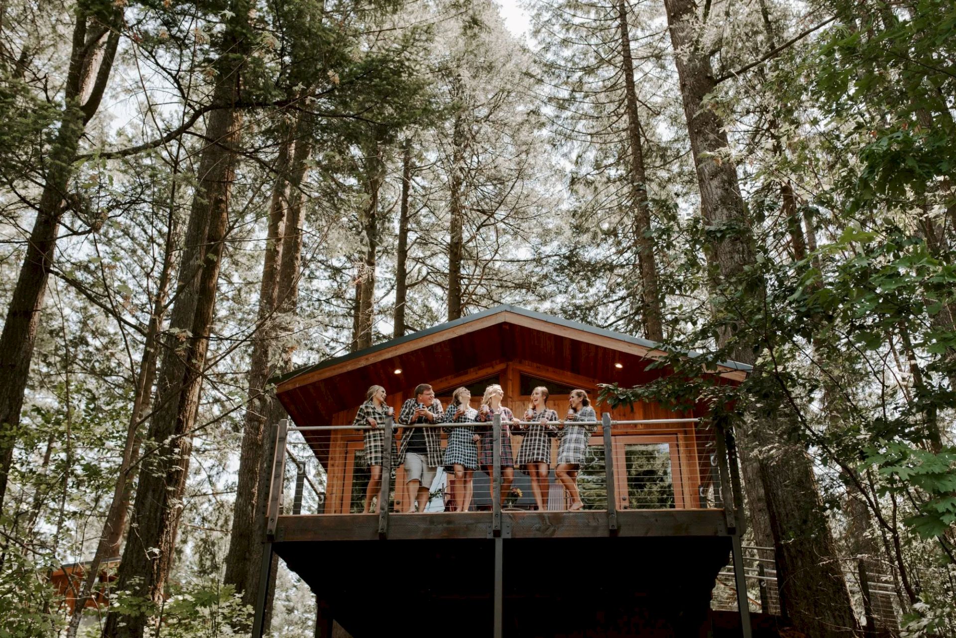 A group of people stand on a balcony of a treehouse surrounded by tall trees in a forest setting.