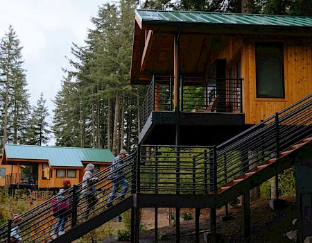 A group of people stroll along metal stair rails beside wooden cabins in a pine forest.