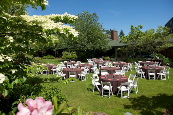 An outdoor garden setup with round tables covered in cloth and surrounded by white chairs, under a clear blue sky.