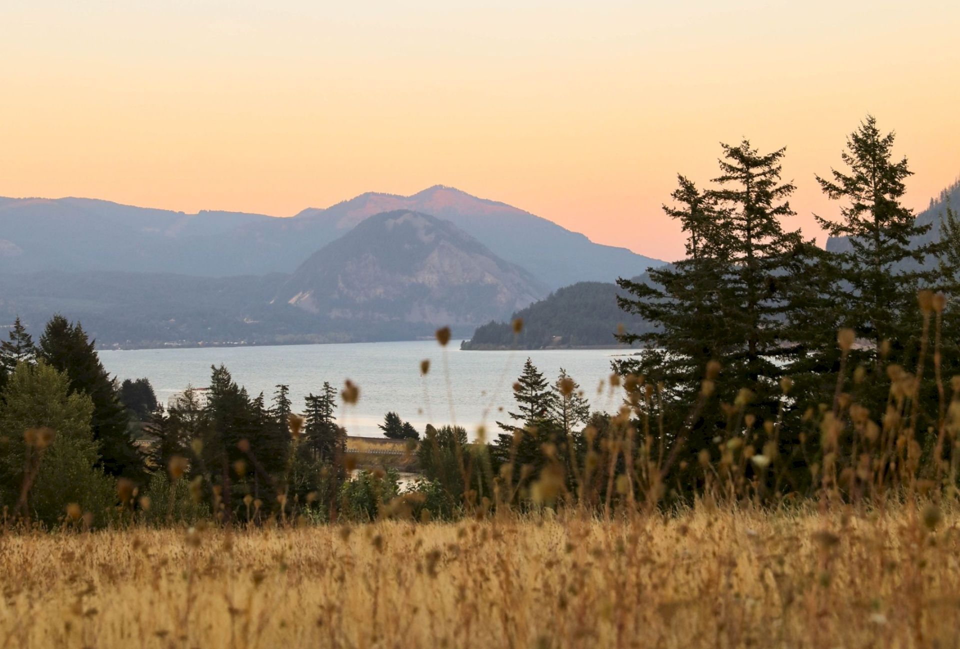 Sunset over a calm lake with layered mountains, evergreens, and tall grasses swaying in the foreground.