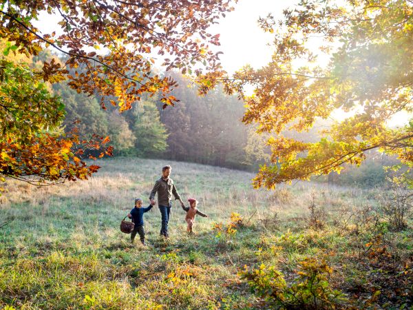 A person walks hand in hand with two children through a sunlit field surrounded by colorful autumn trees, creating a picturesque scene.