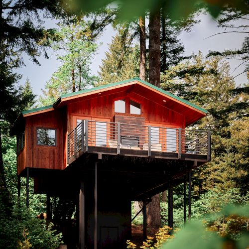 A wooden treehouse on stilts surrounded by tall trees, with leaves in the foreground and sunlight filtering through the branches.
