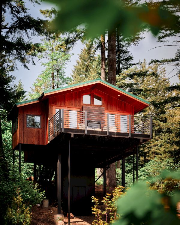A wooden treehouse on stilts surrounded by tall trees, with leaves in the foreground and sunlight filtering through the branches.