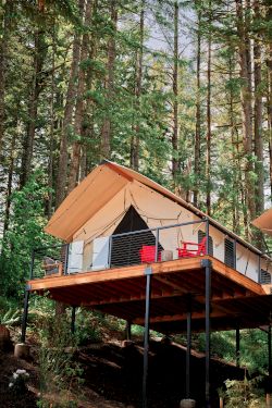 A canvas glamping tent sits on a wooden deck among towering pine trees in a quiet forest.