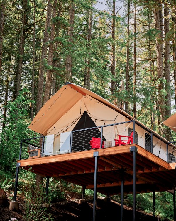 A raised wooden cabin on stilts among tall trees, with an open deck and a red chair outside, nestled in a forest setting.