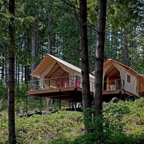 Two elevated tents with porches are nestled among tall trees in a wooded area, offering a scenic forest retreat.