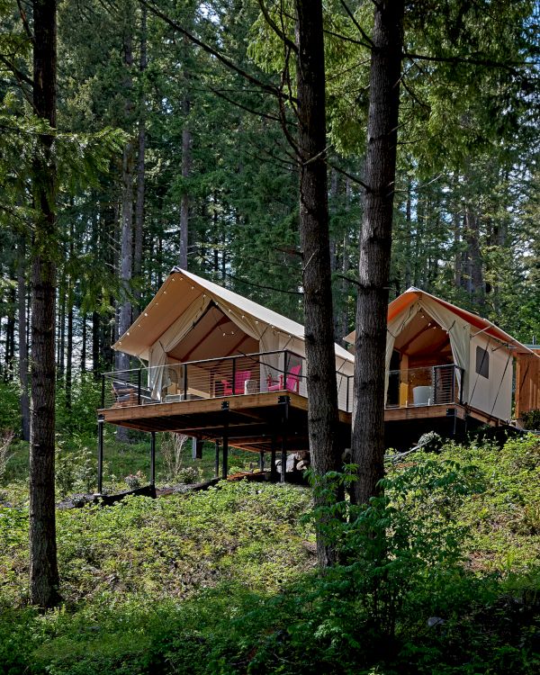 Two elevated tents with porches are nestled among tall trees in a wooded area, offering a scenic forest retreat.