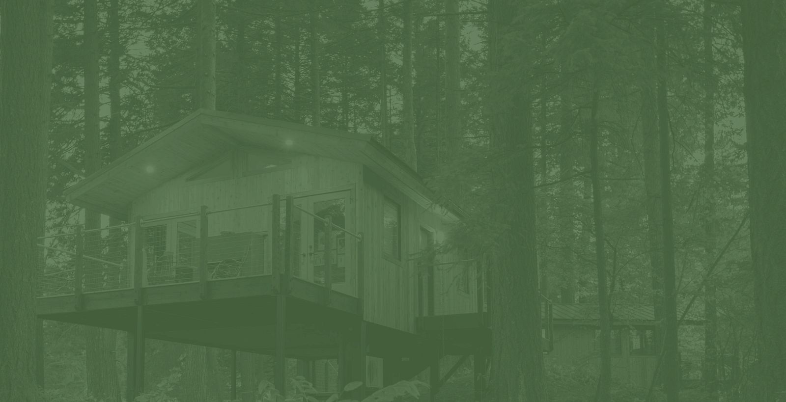 A wooden treehouse with a deck is nestled among tall trees in the forest.