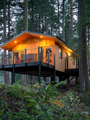 A cozy wooden treehouse with a lit interior is nestled among tall trees in a forest setting.