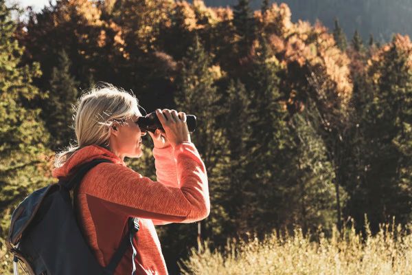 A person with a backpack is looking through binoculars, enjoying a scenic view in a forest with autumn-colored trees.