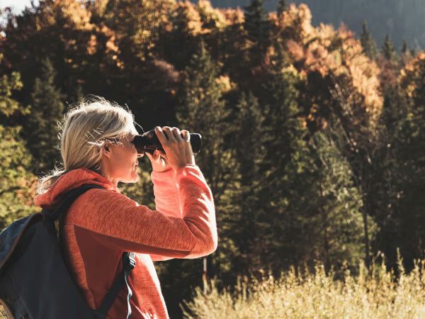 A person with a backpack is looking through binoculars, enjoying a scenic view in a forest with autumn-colored trees.