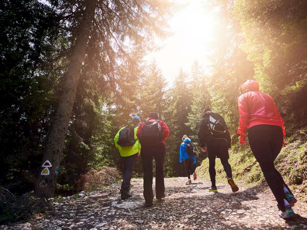 A group of people wearing colorful outdoor gear are hiking on a forest trail, with sunlight filtering through the trees.
