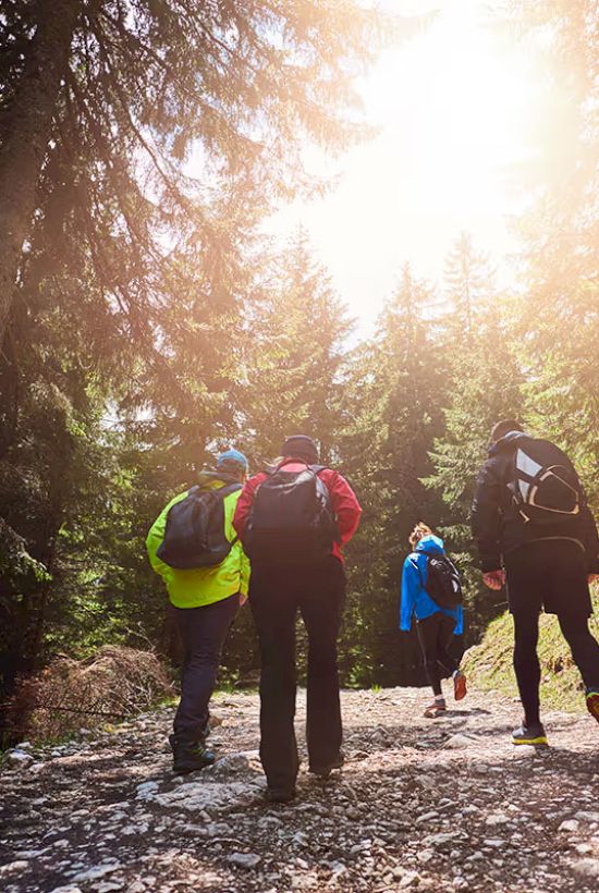 A group of people hiking on a forest trail, surrounded by tall trees and sunlight filtering through the branches.