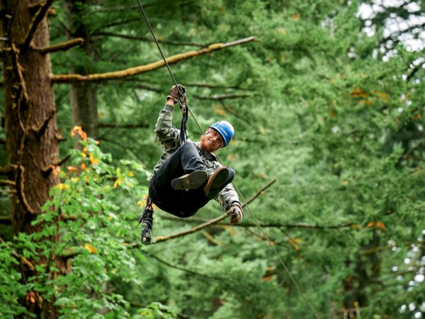 A person wearing a blue helmet is zip-lining through a forested area, surrounded by green trees.