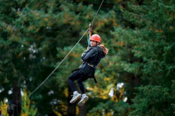 A person wearing a helmet and harness is zip-lining through a forested area, surrounded by green trees.