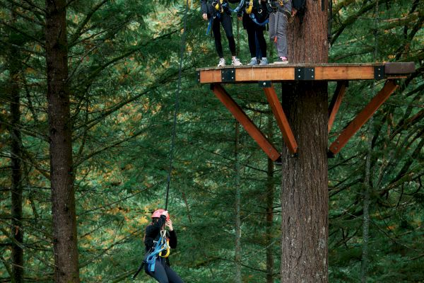People zip-lining in a forest, with one person in midair and others waiting on a tree platform.