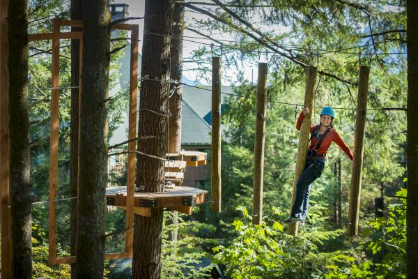 A person in a blue helmet navigates a treetop ropes course, surrounded by tall trees and green foliage, looking adventurous.