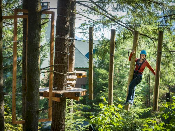 A person in a blue helmet navigates a treetop ropes course, surrounded by tall trees and green foliage, looking adventurous.