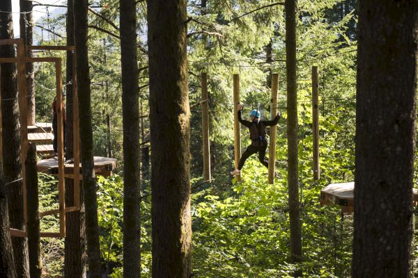 A person is navigating an outdoor treetop obstacle course, moving between platforms in a forest setting.