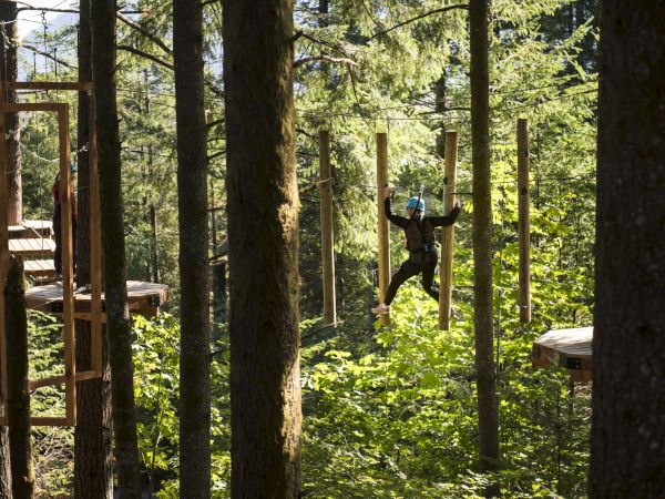 A person is navigating an outdoor treetop obstacle course, moving between platforms in a forest setting.