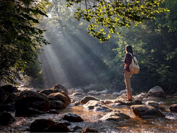 A person stands on rocks in a forest stream, sunlight filtering through leaves, creating a serene, picturesque atmosphere.