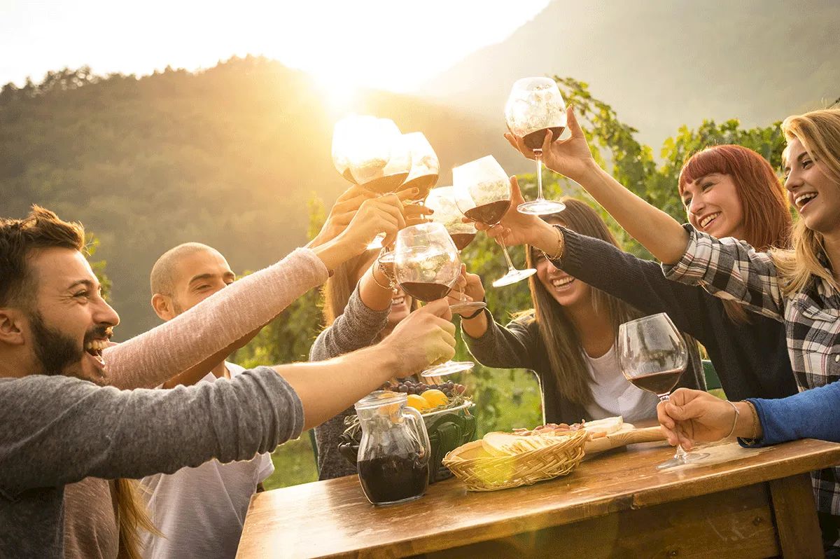 A group of people joyfully toasting with wine glasses outdoors, surrounded by nature and sharing a table with snacks, under warm sunlight.